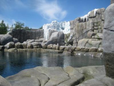Aufnahme vom Eismeer im Tierpark Hagenbeck: Wasser und Felsen Aufnahme vom Eismeer im Tierpark Hagenbeck: Wasser und Felsen